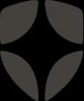 Auth0 logo